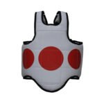 Body Protector